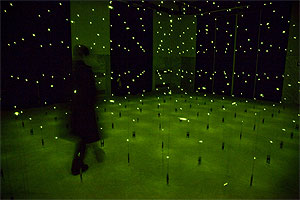 Matrix II, installazione di Erwin Redl