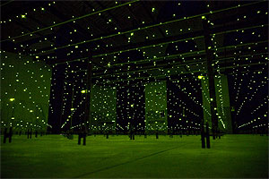 Matrix II, installazione di Erwin Redl