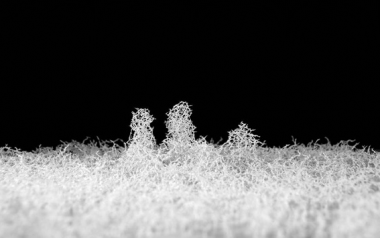 Aljosha: Living Architectures