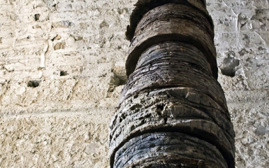 Mi sei mancata fino a ieri . 150x700 cm . Palma . 2011