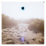 the path 5