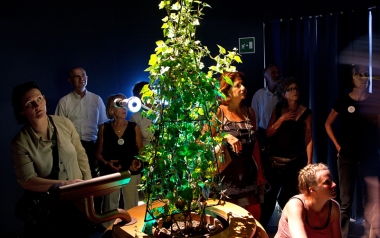 Bioma, Mutazioni vegetali: ambiente interattivo