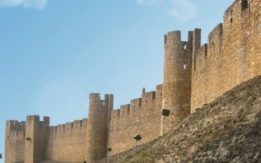 Tomar mura