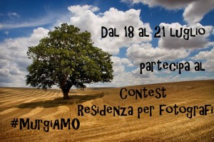 MurgiAMO