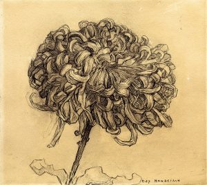 Piet Mondrian, Chrysanthemum, 1906, Guggenheim Mus.