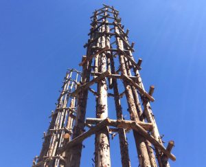Giuliano Mauri, cattedrale vegetale di lodi in allestimento - detail