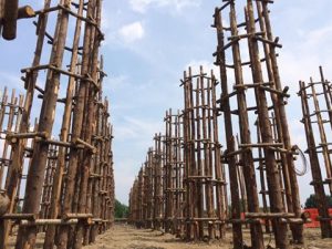 Giuliano Mauri, cattedrale vegetale di lodi in allestimento.