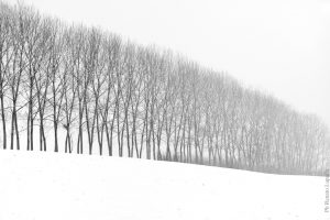 immagine di Renato Luparia, Il suono del silenzio