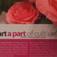 28 maggio 2010, rosa è rosa
