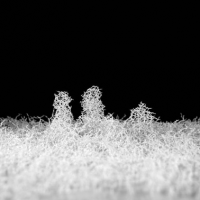 Aljosha: Living Architectures
