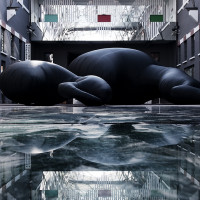Sergio Regalzi, Museo MACRO di Roma