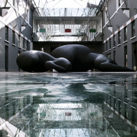 Sergio Regalzi, Museo MACRO di Roma