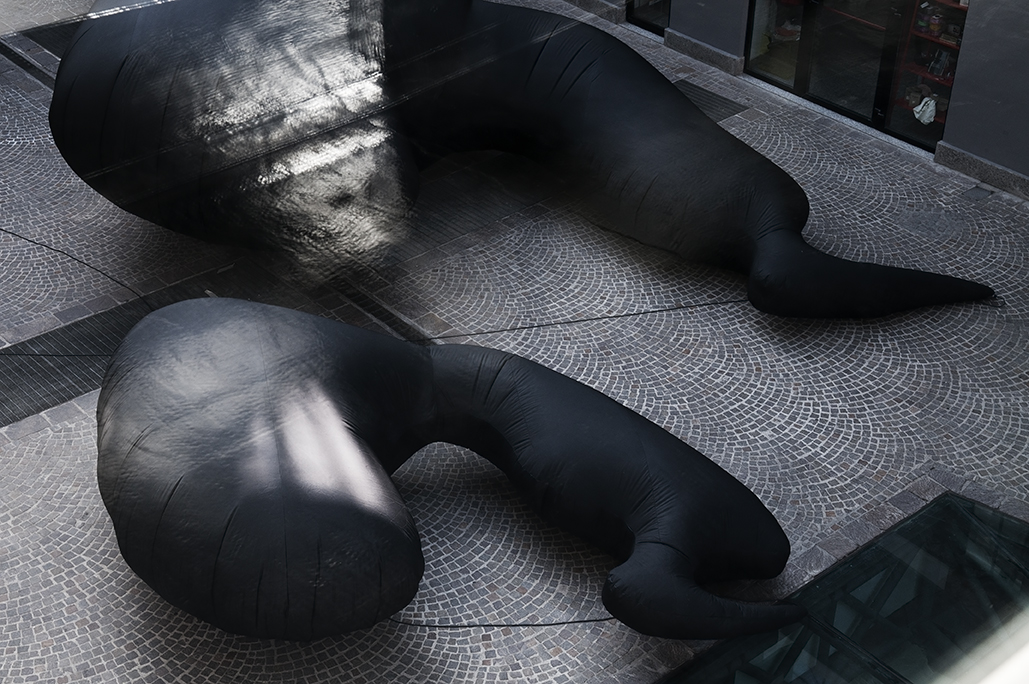 Sergio Regalzi, Museo MACRO di Roma