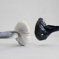 LUCA TREVISANI White as the milk, black as the ink, please concut, 2008