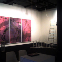 Allestimento galleria Franco Noero