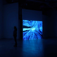 Bianco-Valente Tempo universale, Video installation: 3 projections and a 10-channels audio track, endless loop, 2007, Installation view at Enrico Fornello Gallery, Prato (IT). Ph. E. Bialkowska.