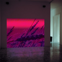 Uneuclidean Pattern, Video w/ sound, endless loop, Sound Design by Mass, 2003. Ed. of 5. installation view. Ph. L. Romano.