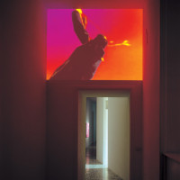 I Should Learn from You, Video w/ sound, endless loop, Sound Design by Mass, 2003. Ed. of 5. installation view. Ph. L. Romano.