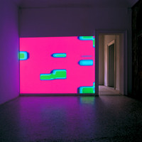 Slow Brain, Video w/o Sound, endless loop, 2001. Ed. of 5.