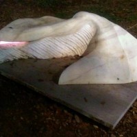 Carrara Marble Week