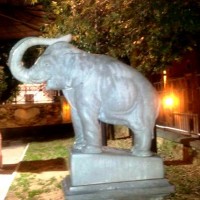 Carrara Marble Week