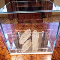 Le scarpette di Marisa Merz (fondazione Querini Stampalia) - foto Manuela De Leonardis