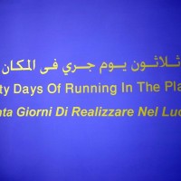 Padiglione Egitto (Ahmed Basiony 1978-2011) 54. Biennale di Venezia (foto Manuela De Leonardis)
