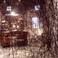 Chiharu Shiota. Memory of Books - evento collaterale 54. Biennale di Venezia - (foto Manuela De Leonardis)