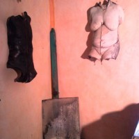 Birgitt Shol Starp ad Anticoli Corrado