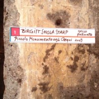 Birgitt Shola Starp ad Anticoli Corrado
