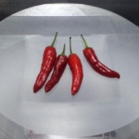 Quando il peperoncino diventa grafica
