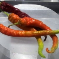 Quando il peperoncino diventa grafica
