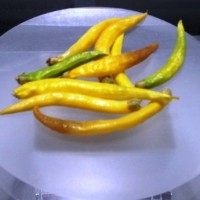 Quando il peperoncino diventa grafica