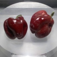 Quando il peperoncino diventa grafica