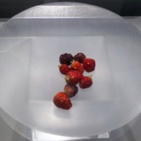 Quando il peperoncino diventa grafica