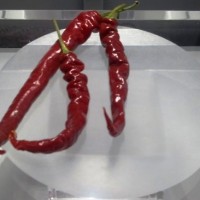 Quando il peperoncino diventa grafica