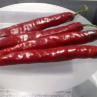 Quando il peperoncino diventa grafica