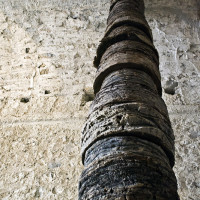Mi sei mancata fino a ieri . 150x700 cm . Palma . 2011