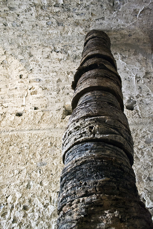 Mi sei mancata fino a ieri . 150x700 cm . Palma . 2011
