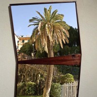 Mi sei mancata fino a ieri C print Cm 100x70. Cornice legno di palma