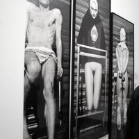 particolare della selezione espositiva galleria Glenda Cinquegrana