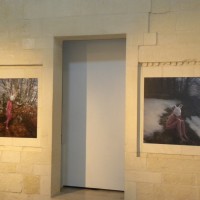 Memorie dal sottosuolo, Franco Losvizzero