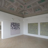 Paolo Cotani, Una retrospettiva. Palazzo del duca di Senigallia, 2011