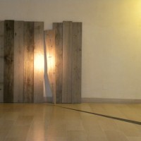 Unite in the shadow, Andrea Nicodemo