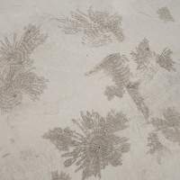 strane forme nella sabbia create da granchi - Ngapali beach - ph.Claudio Oliva