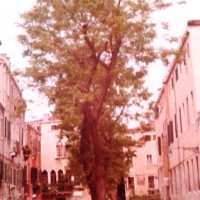 Venezia - Rio Terà dei Cetecumeni