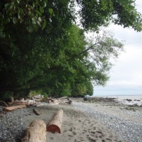 Pacific Spirit Bay