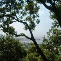Giardini La Mortella - Ischia