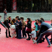 Festival Internazionale del Film di Roma - Red Carpet - Ph. Chiara Pasqualini