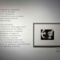Walter Chappel - Ingresso - ph. Federica Casetti